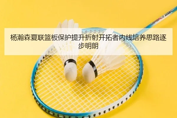 杨瀚森夏联篮板保护提升折射开拓者内线培养思路逐步明朗