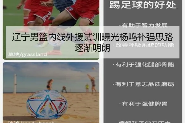 辽宁男篮内线外援试训曝光杨鸣补强思路逐渐明朗